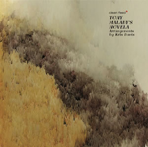 novella_cover